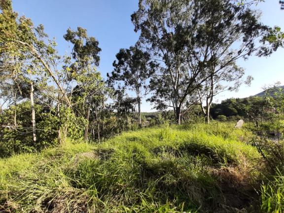 Imagem Terreno à Venda, 4.410 m² em Caete (Mailasqui) - São Roque