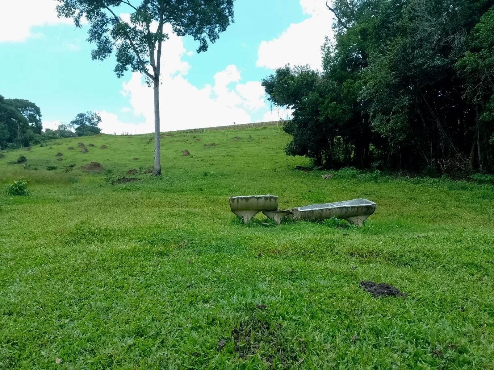 Imagem Fazenda à Venda, 5 Alq. MG em Caldas - Caldas