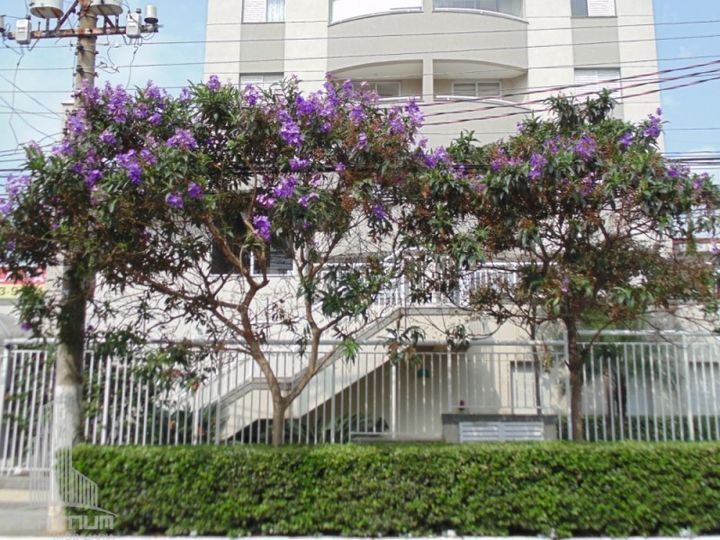 Imagem Apartamento com 2 Quartos para Alugar, 69 m² em Vila Moinho Velho - São Paulo