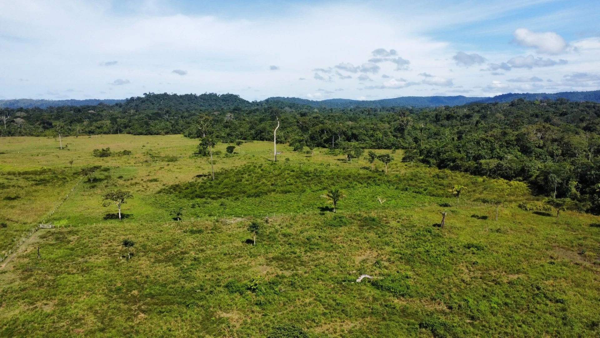 Foto do imóvel: Fazenda à Venda, 900 Alq. GO em São Félix do Xingu - São Félix do Xingu