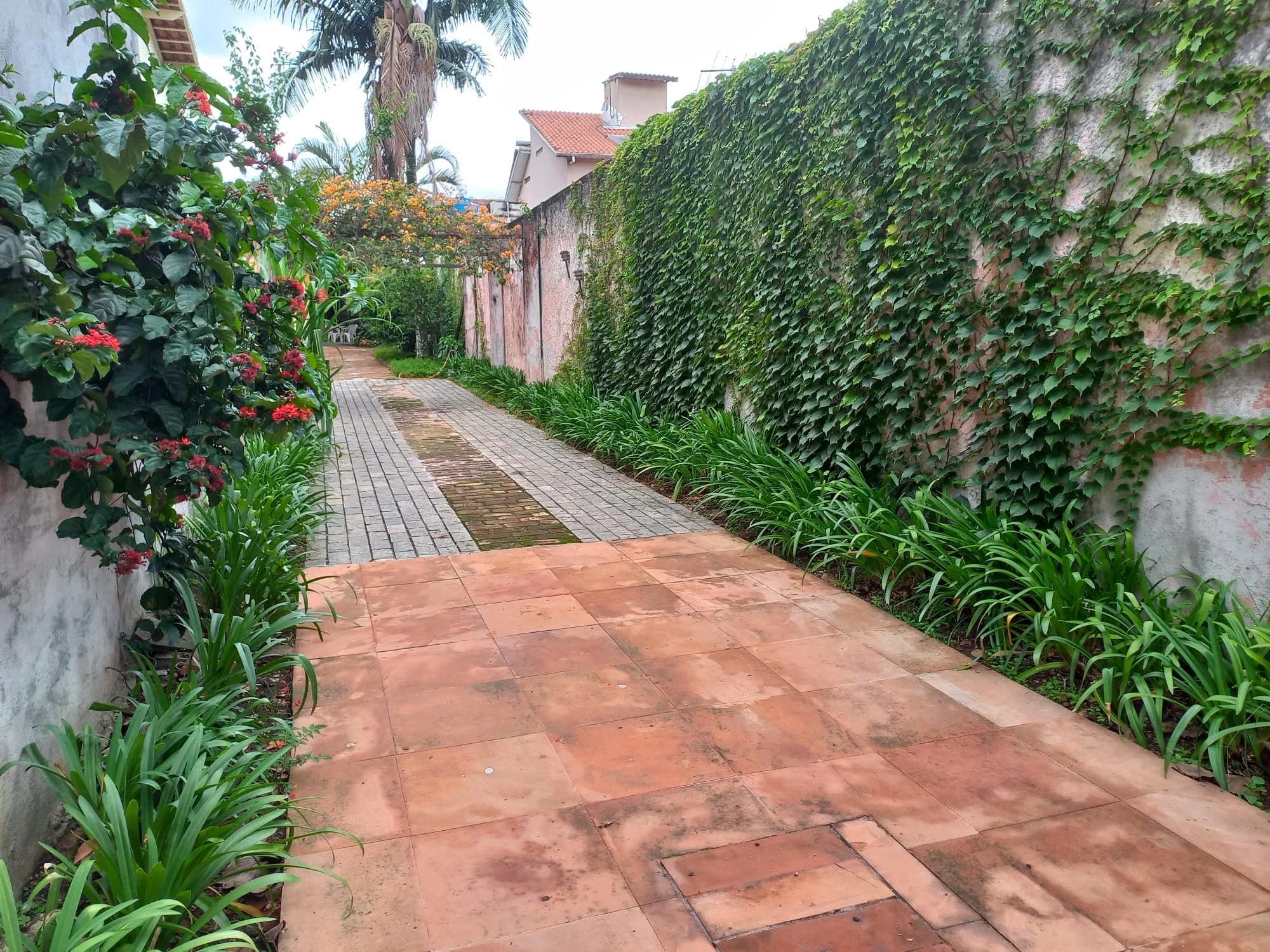 Imagem Casa com 3 Quartos à Venda, 244 m² em Vila Cordeiro - São Paulo