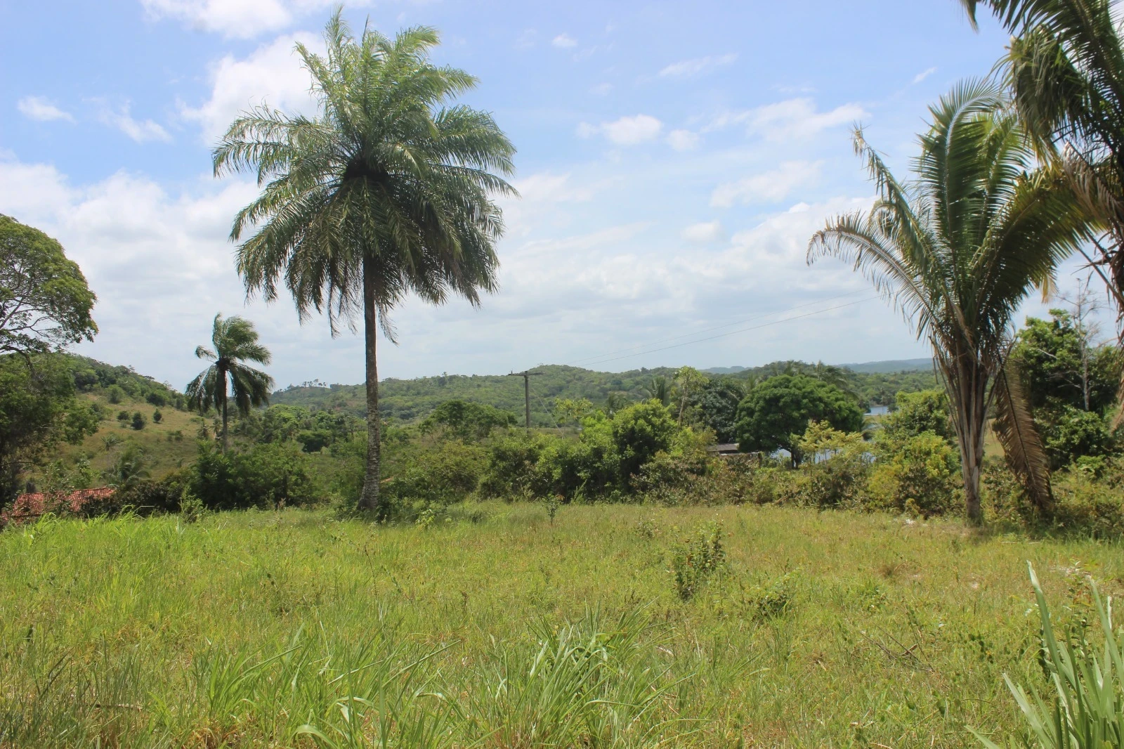 Foto do imóvel: Chácara com 2 Quartos à Venda, 20100 m² em Mata de São João - Mata de São João