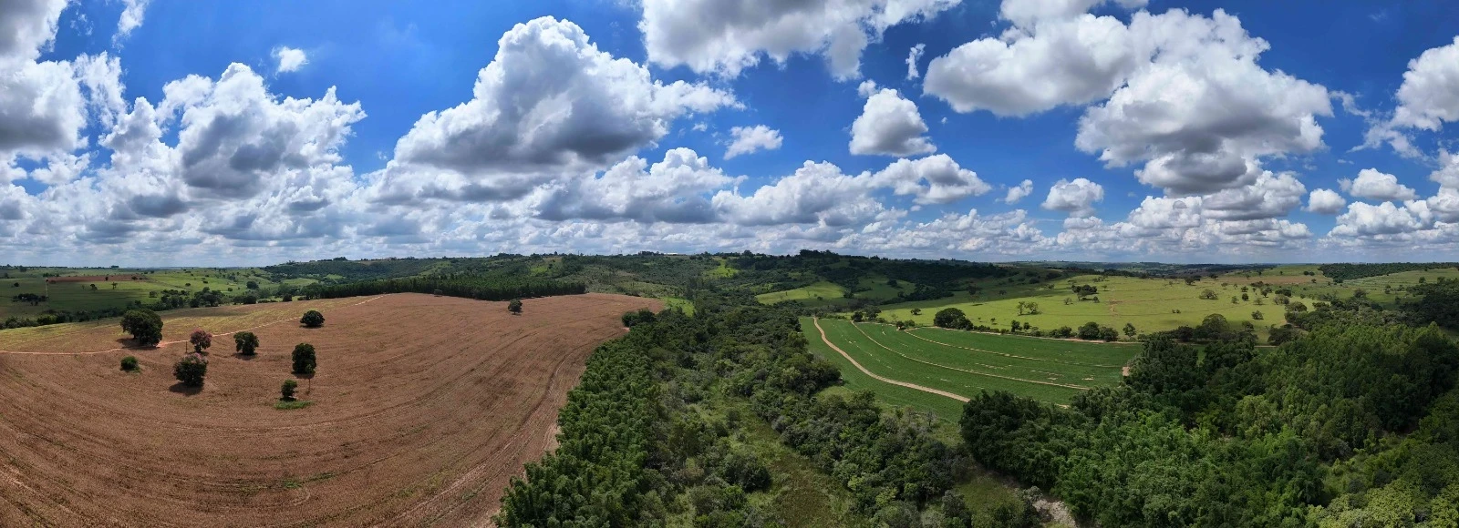 Fazenda à Venda, 138 HA em Área Rural de Echaporã - Echaporã