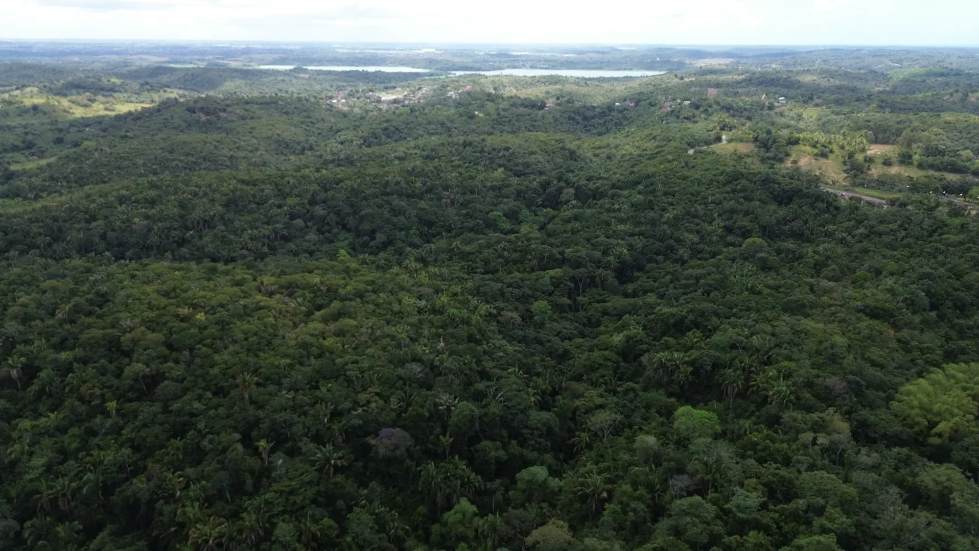 Imagem Terreno à Venda, 544000 metros em centro - Simoes Filho
