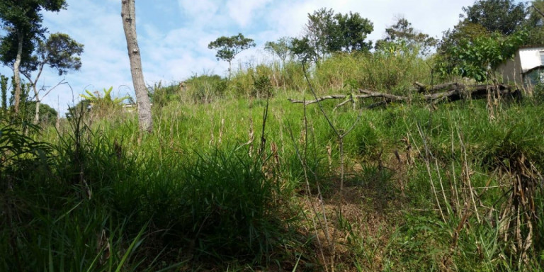 Imagem Chácara com 1 Quarto à Venda, 2.600 m² em Centro - Santa Isabel