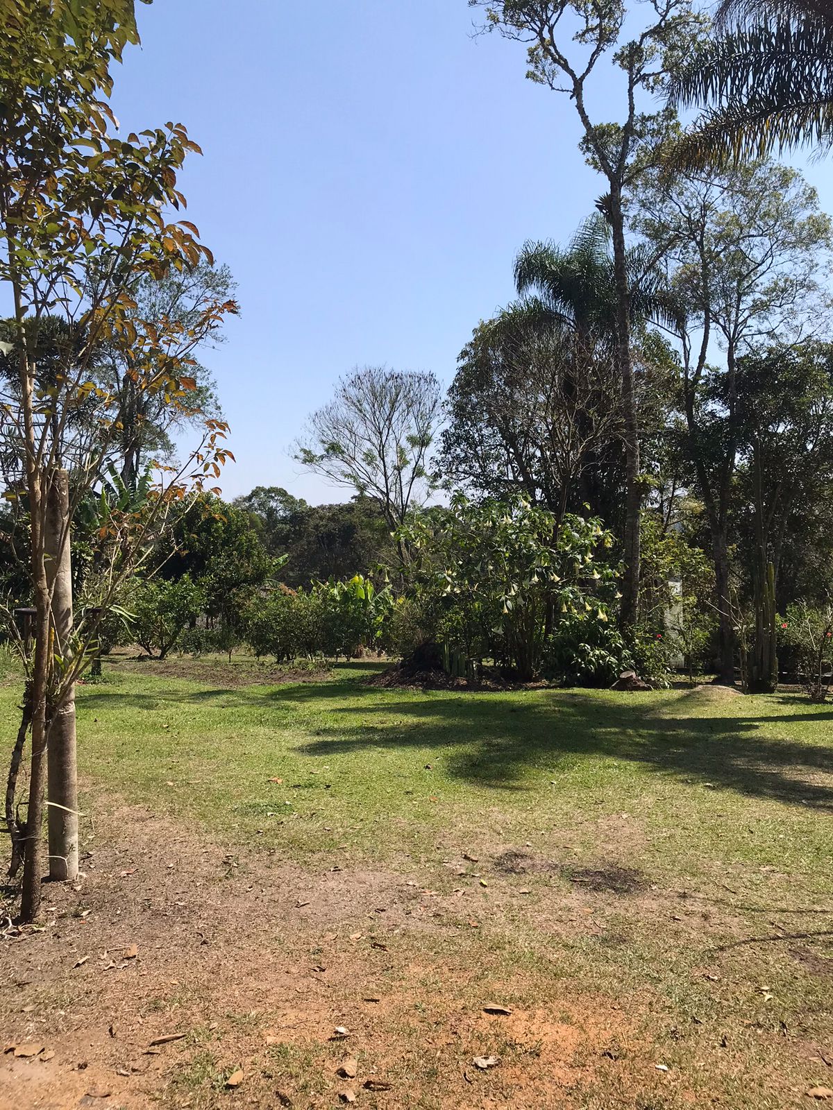 Imagem Chácara com 2 Quartos à Venda, 12 m²em Biritiba Ussu - Mogi das Cruzes
