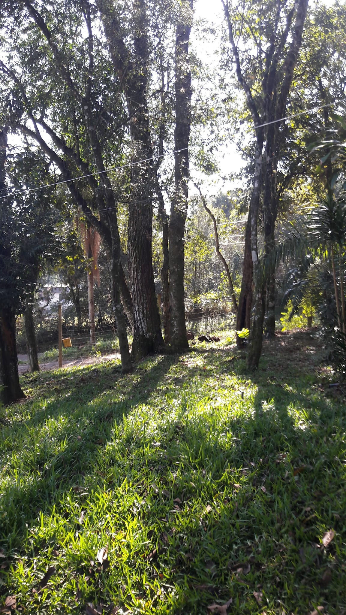 Foto do imóvel: Terreno à Venda, 3.200 m²em Efapi - Chapecó