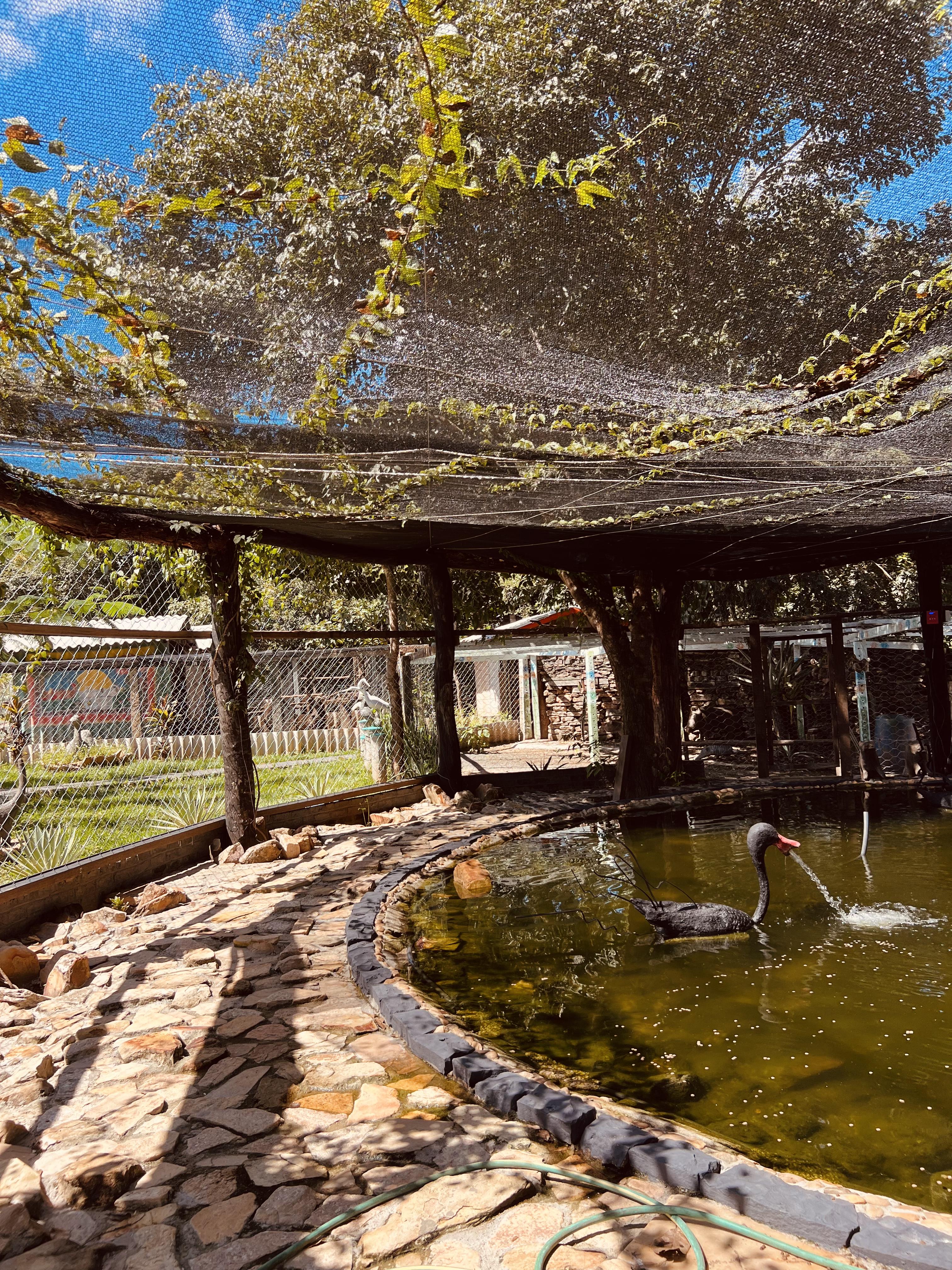 Foto do imóvel: Chácara com 7 Quartos à Venda, 5.000 m² em Setor Central - Mairipotaba