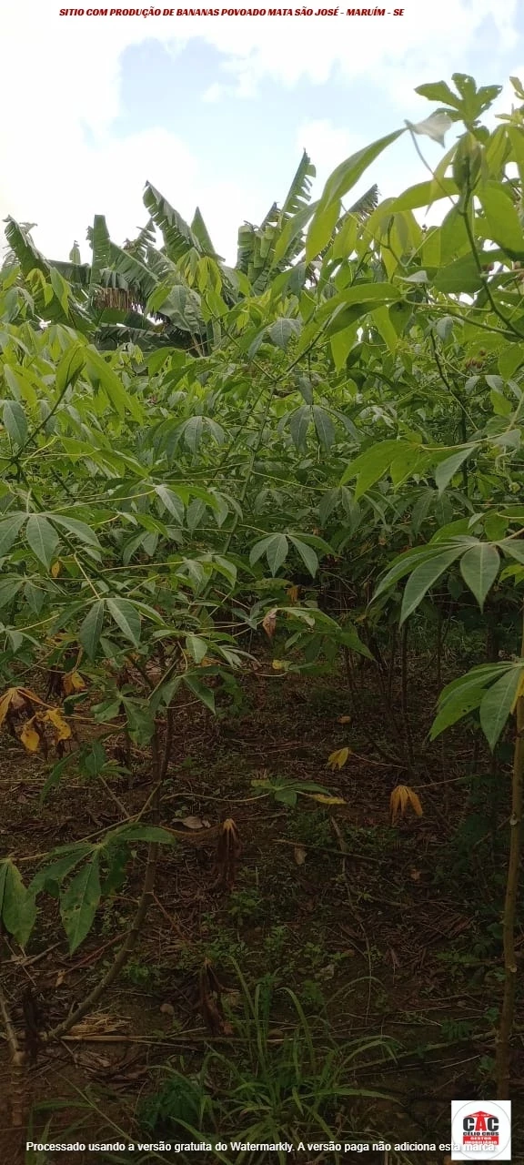 Foto do imóvel: Chácara com 2 Quartos à Venda, 80 m² em Maruim - Maruim