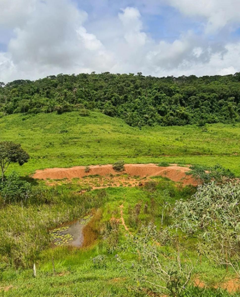 Foto do imóvel: Chácara com 3 Quartos à Venda, 62.000 m² em Centro - Rio Casca