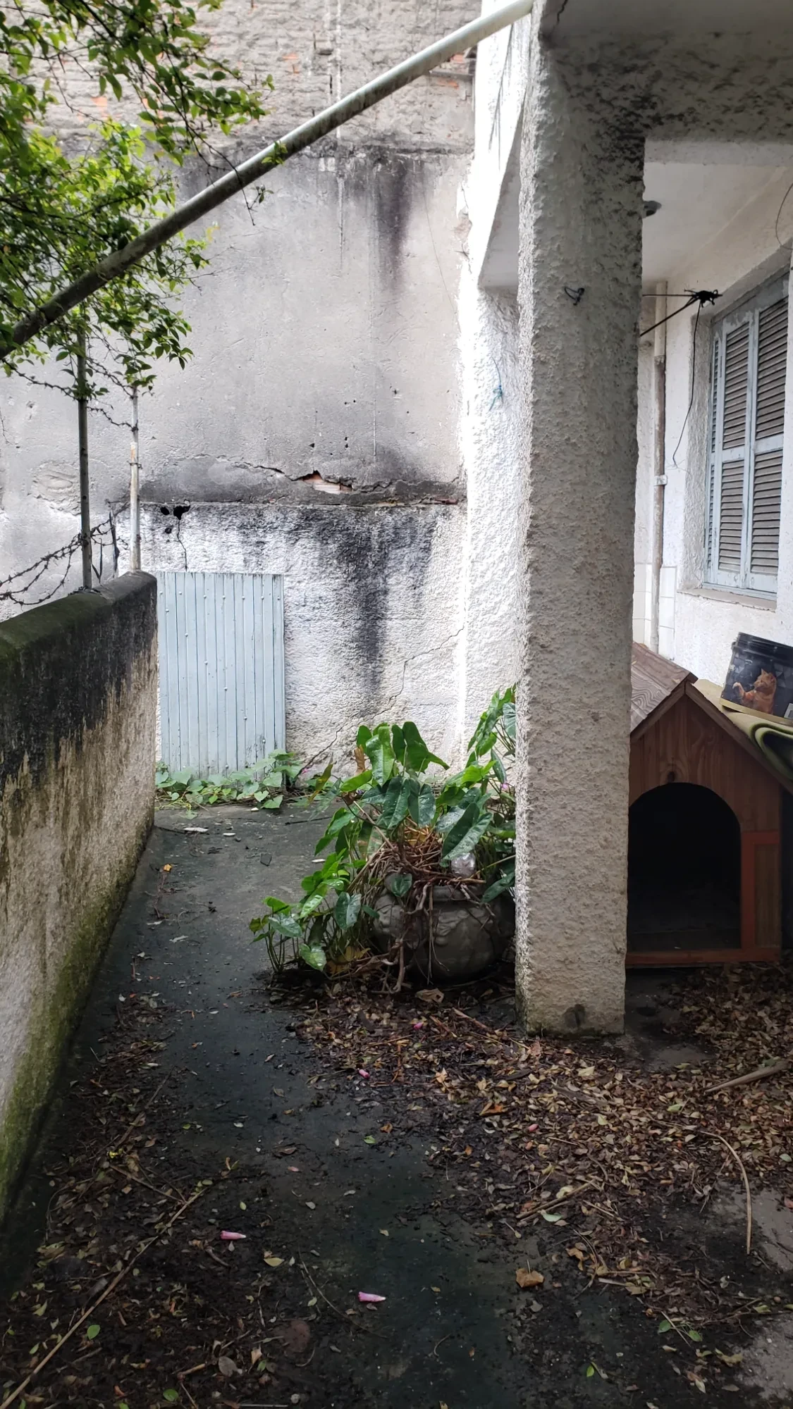 Imagem Sobrado com 7 Quartos à Venda, 202 m² em Jardim Oriental - São Paulo