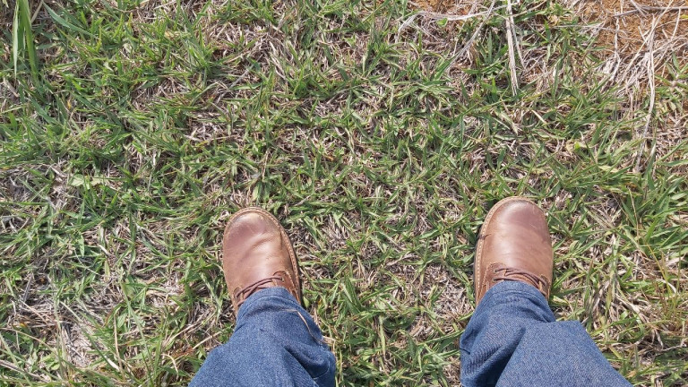 Terreno à Venda,  em Residencial Figueiras do Parque - Campo Grande