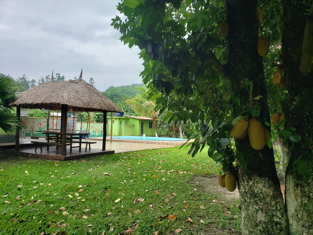 Foto do imóvel: Chácara com 2 Quartos à Venda, 2.000 m² em Mazomba - Itaguaí