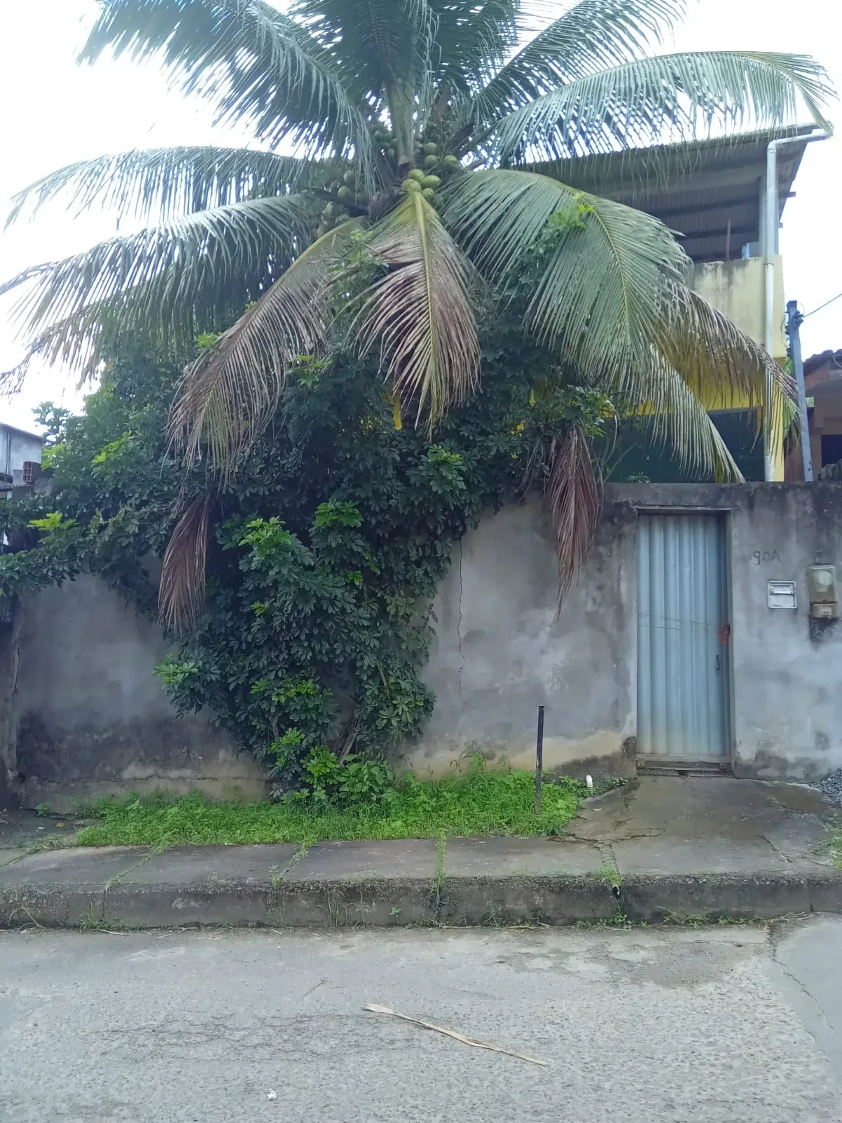 Imagem Casa com 3 Quartos à Venda, 250 m² em São Tomé - Salvador