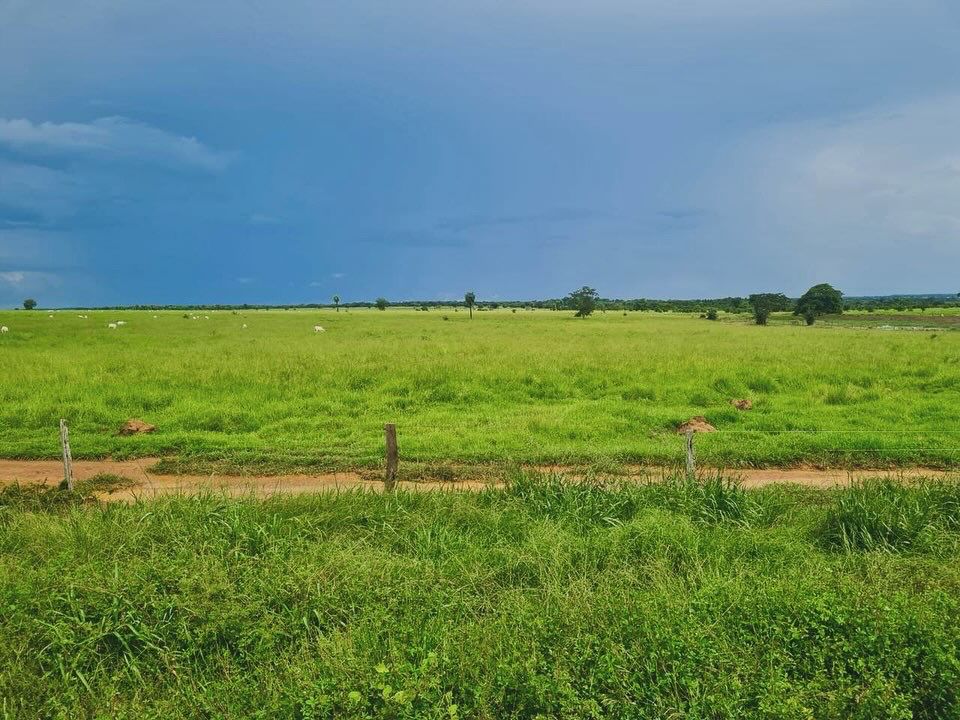 Imagem Fazenda à Venda, 1115 m² em ZONA RURAL - Mundo Novo
