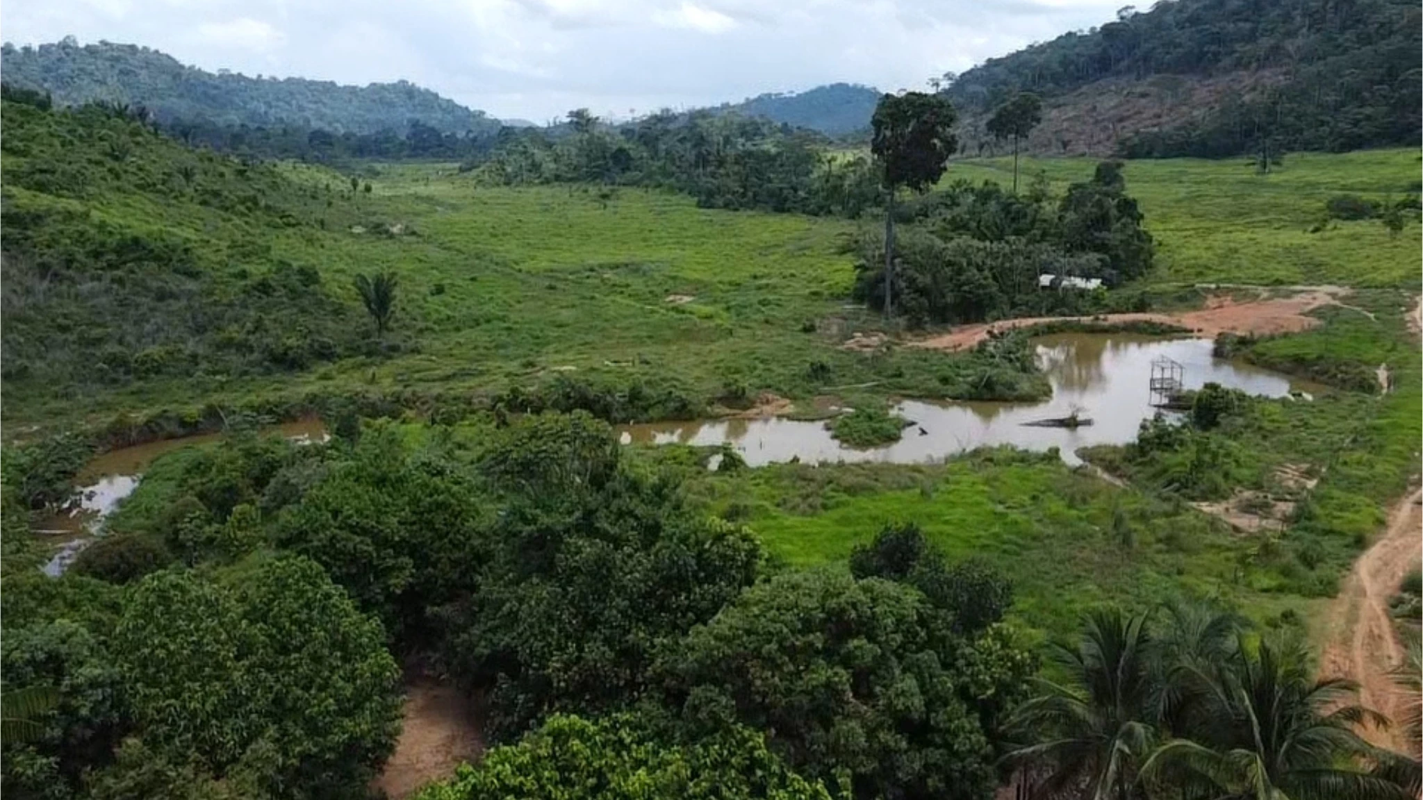Foto do imóvel: Fazenda à Venda, 58 Alq. GO em São Félix do Xingu - São Félix do Xingu
