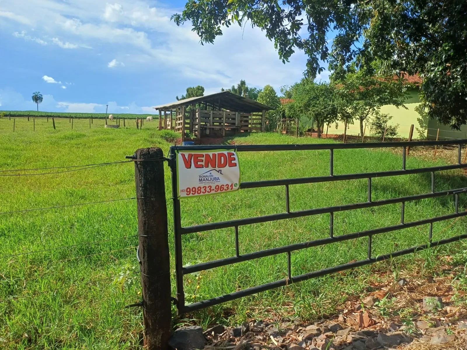 Imagem Chácara com 2 Quartos à Venda ou Locação, 90 m² em Pitangueiras - Pitangueiras