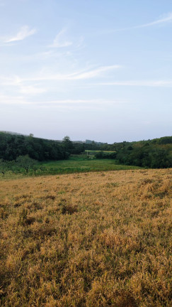 Imagem Terreno em Condomínio à Venda, 1.000 m² em Paruru - Ibiúna