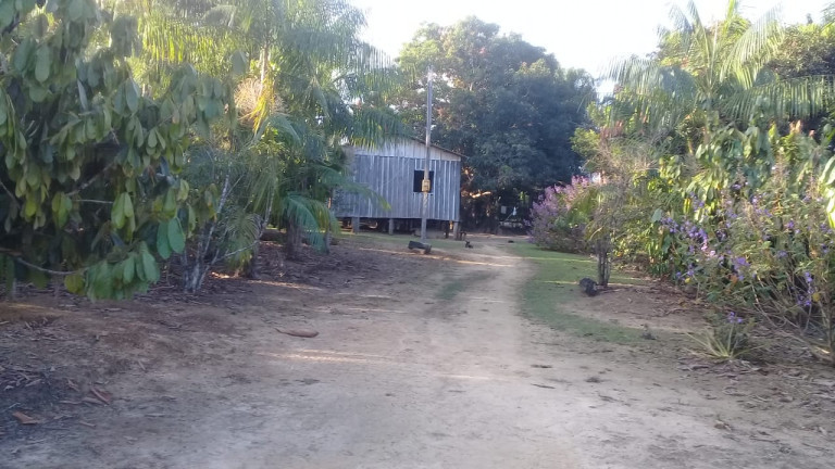 Imagem Terreno à Venda,  em Zona Rural - Humaitá