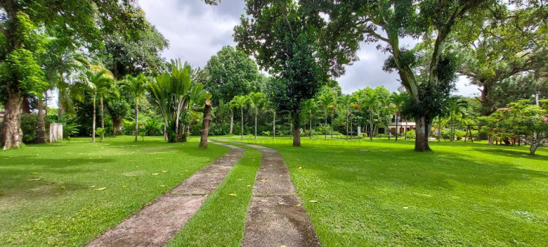 Imagem Chácara com 4 Quartos à Venda,  em Aldeia dos Camarás - Camaragibe