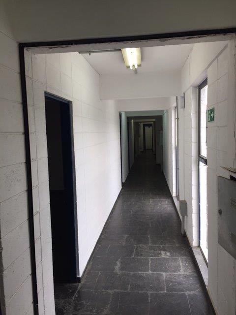 Foto do imóvel: Galpão para Alugar, 3.247 m² em Vila Ribeiro de Barros - São Paulo