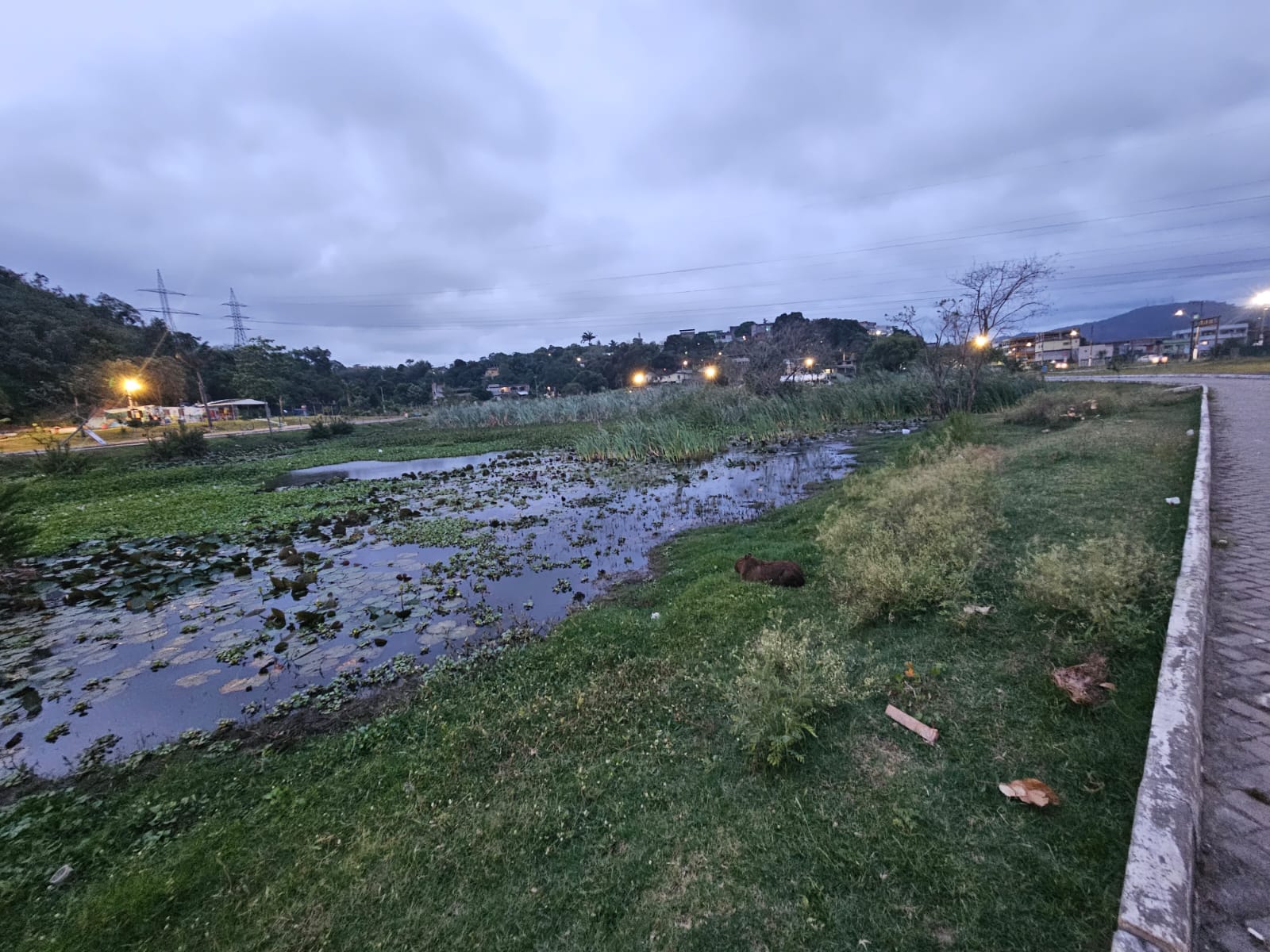 Imagem Sobrado com 6 Quartos à Venda, 850 m²em Itacibá - Cariacica