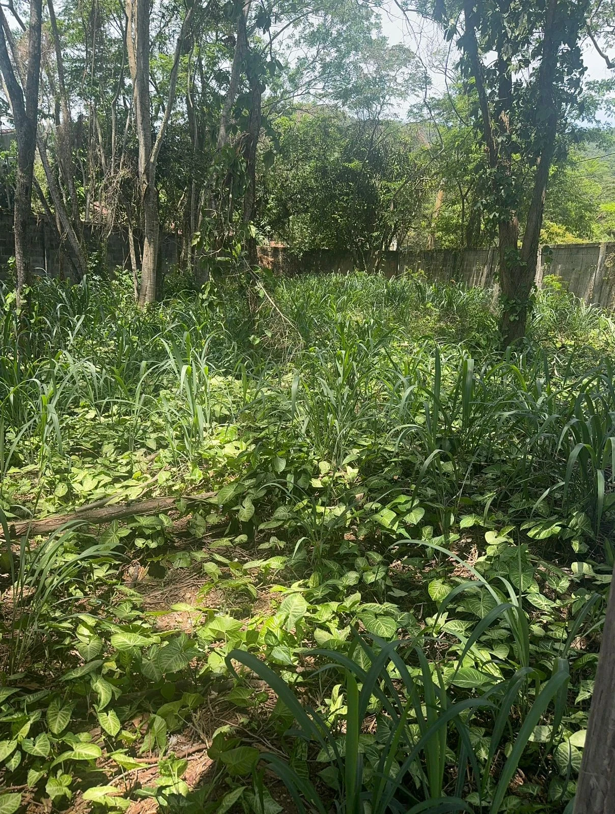 Imagem Terreno à Venda, 960 m² em Itaipu - Niterói