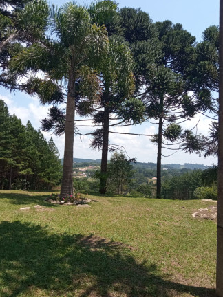 Chácara com 2 Quartos à Venda, 12.350 m² em RIBEIRÃOZINHO - Agudos do Sul
