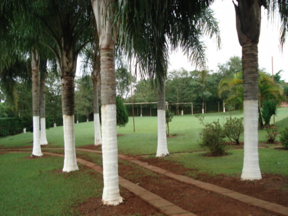 Imagem Chácara com 1 Quarto à Venda, 200 m² em Cercado - Araçoiaba da Serra