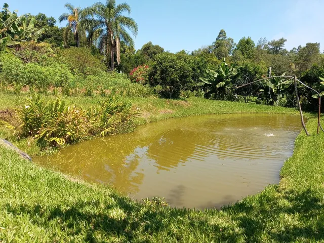 Imagem Chácara com 3 Quartos à Venda, 125 m²em Conceição - São Sebastião do Caí