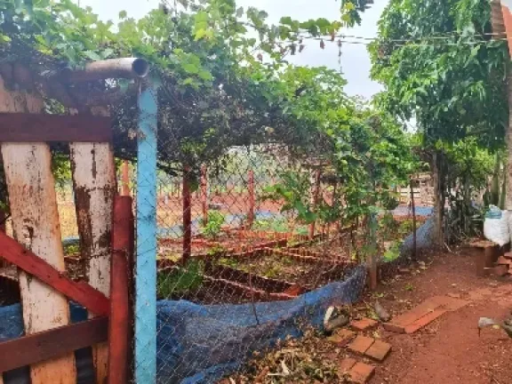 Imagem Chácara com 2 Quartos à Venda, 5000 metros em Pitangueiras - Pitangueiras