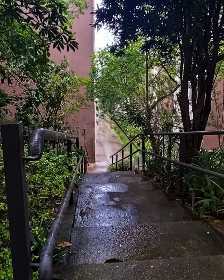 Imagem Apartamento com 2 Quartos à Venda, 43 m² em Vila Hortência - São Paulo