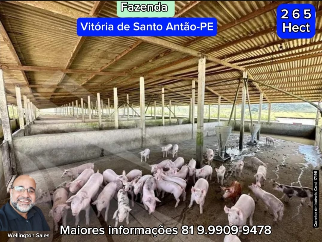 Imagem Imóvel com 4 Quartos à Venda, 265 m²em Área Rural de Vitória do Santo Antão - Vitória de Santo Antão