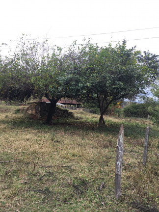 Imagem Fazenda à Venda, 149.000 m² em Zona Rural - Soledade de Minas