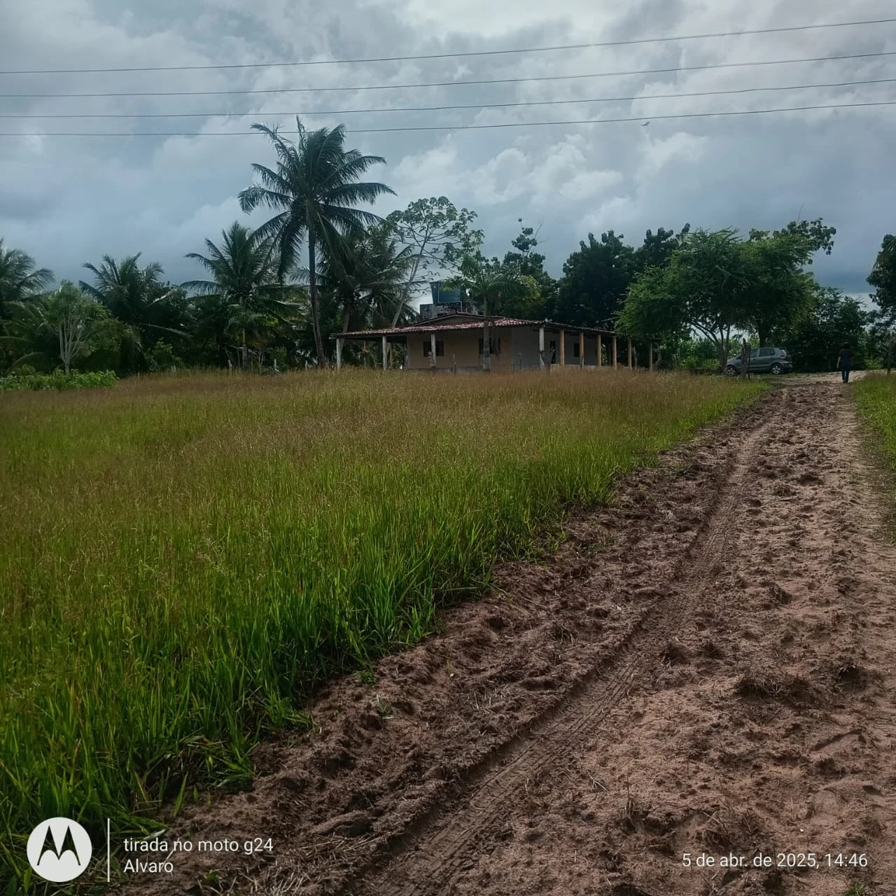 Imagem Fazenda à Venda, 14 HA em Vera Cruz - Vera Cruz