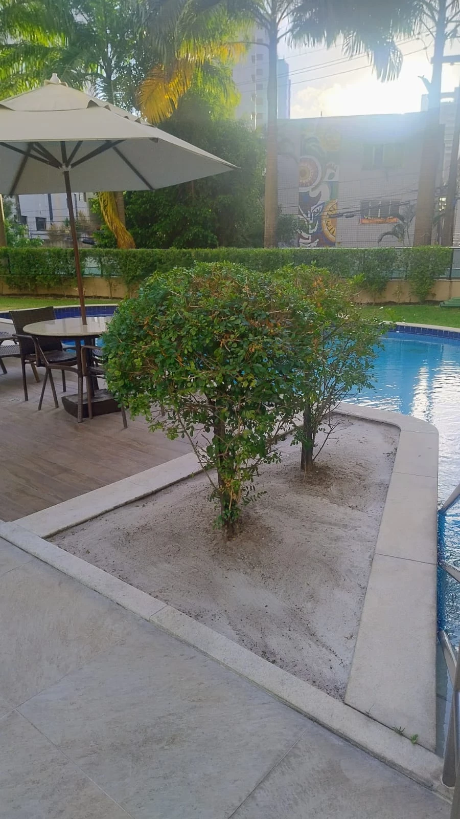 Imagem Apartamento com 3 Quartos para Alugar, 66 m² em Tamarineira - Recife
