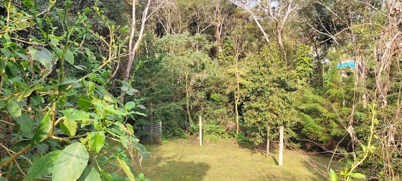 Imagem Casa com 6 Quartos à Venda, 2 m²em Vila Cubas - Tijucas do Sul