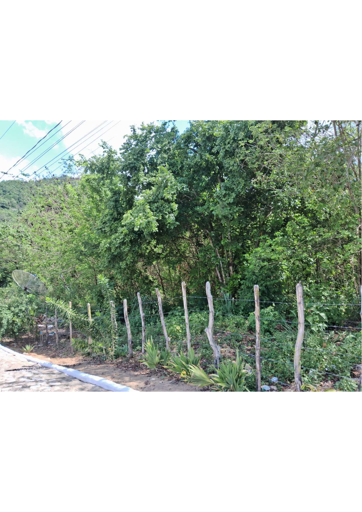 Imagem Chácara à Venda, 40 m²em Vila Maia - Bananeiras