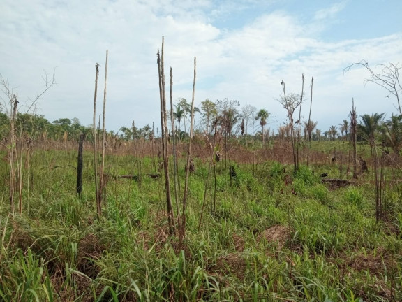 Imagem Terreno à Venda, 2.000 m² em Zona Rural - Humaitá