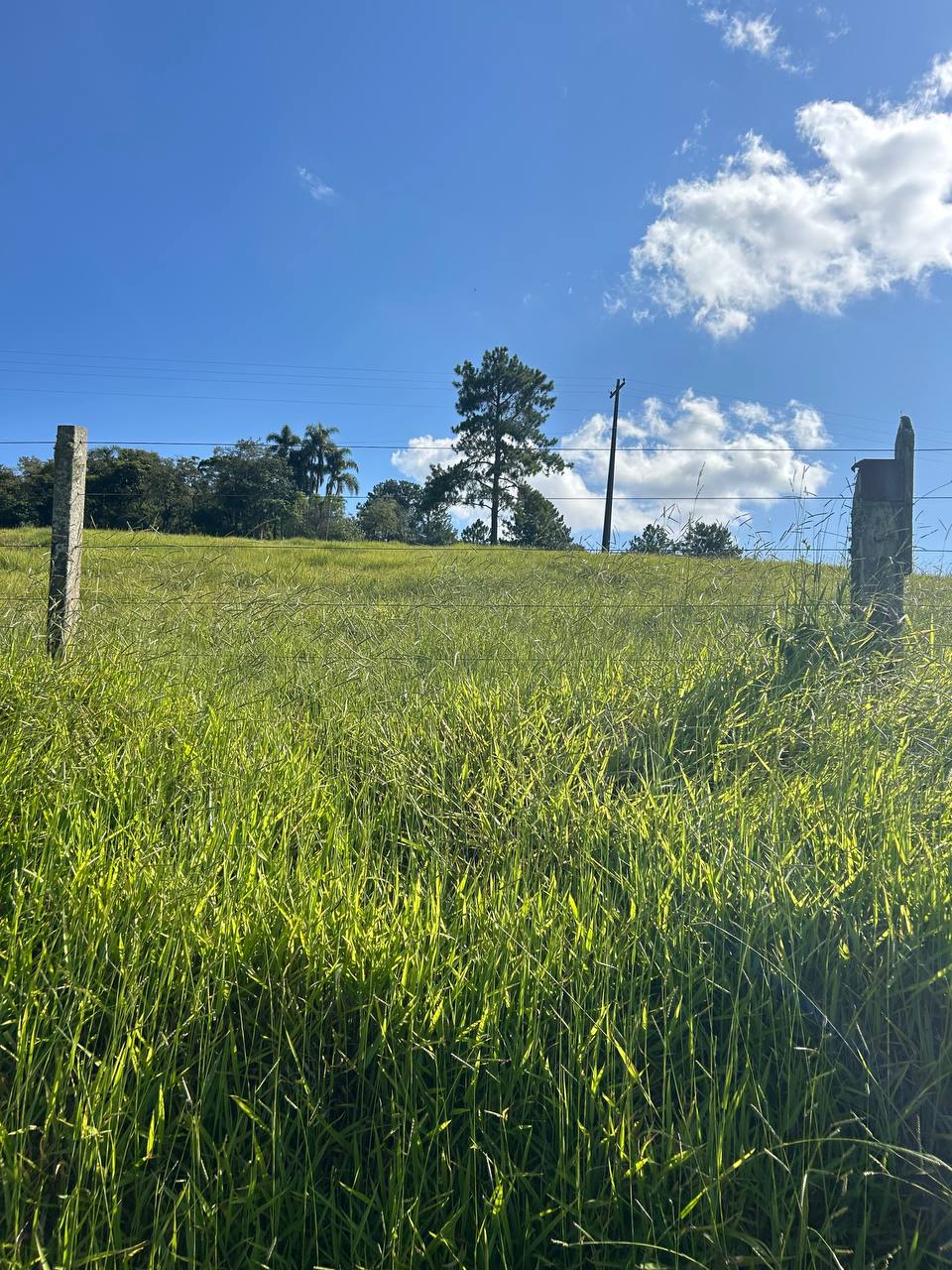 Imagem Terreno em Condomínio à Venda ou Locação, 500 m²em recreio verava - Ibiúna