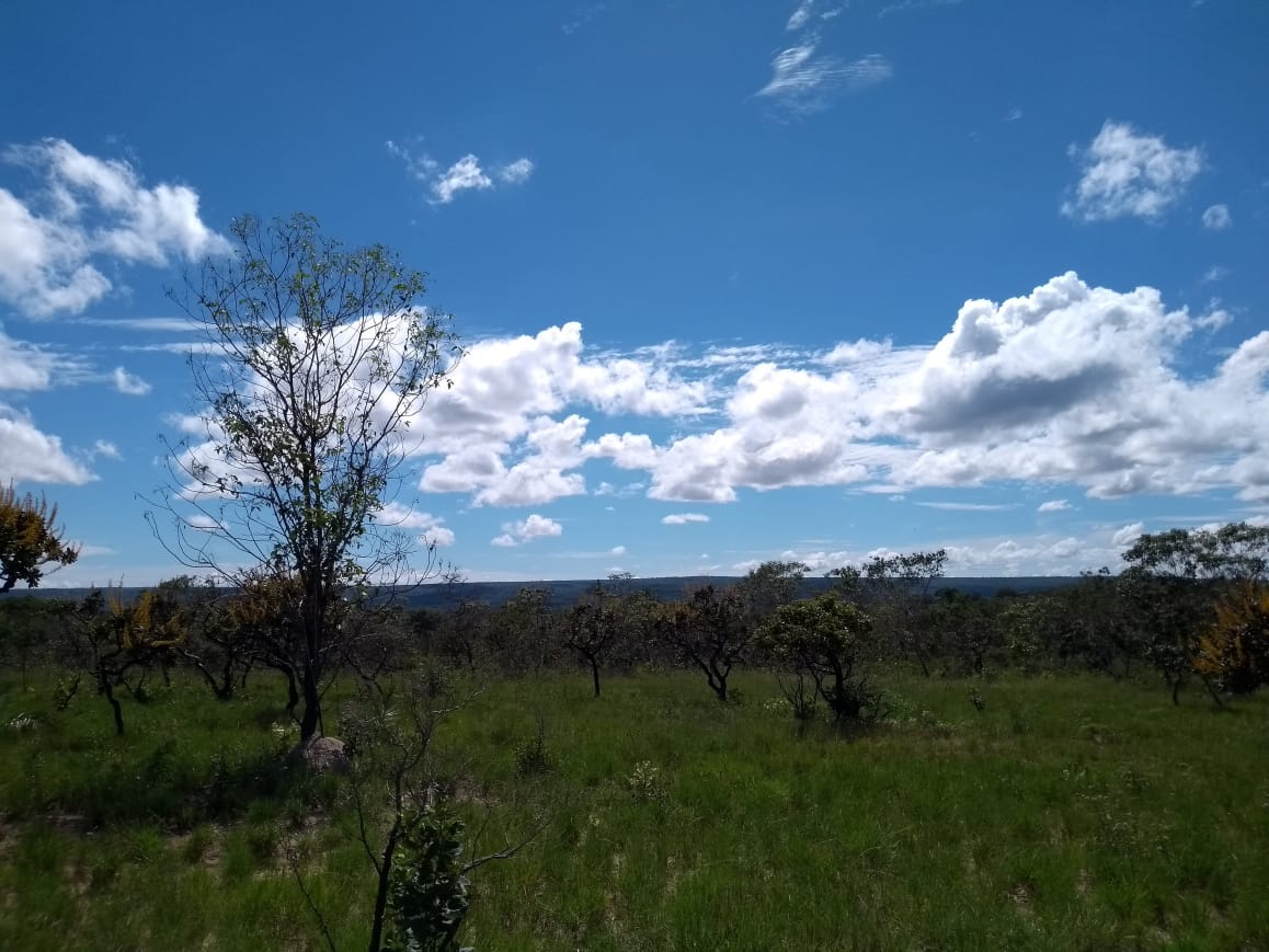 Imagem Fazenda à Venda, 64 Alq. GO em Zona Rural - Ribeirãozinho
