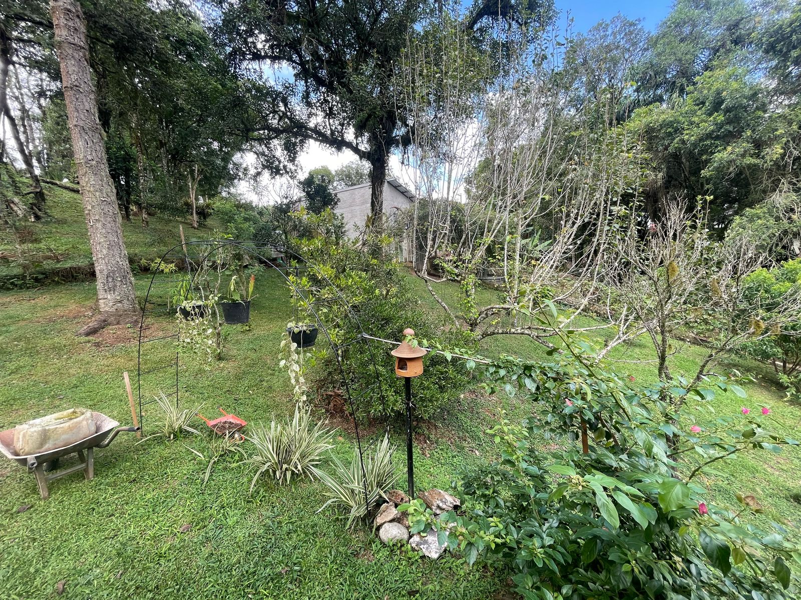 Foto do imóvel: Chácara com 3 Quartos à Venda, 6.800 m² em Salgadinho - Campo Largo