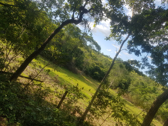 Imagem Fazenda à Venda,  em Área Rural - Padre Bernardo