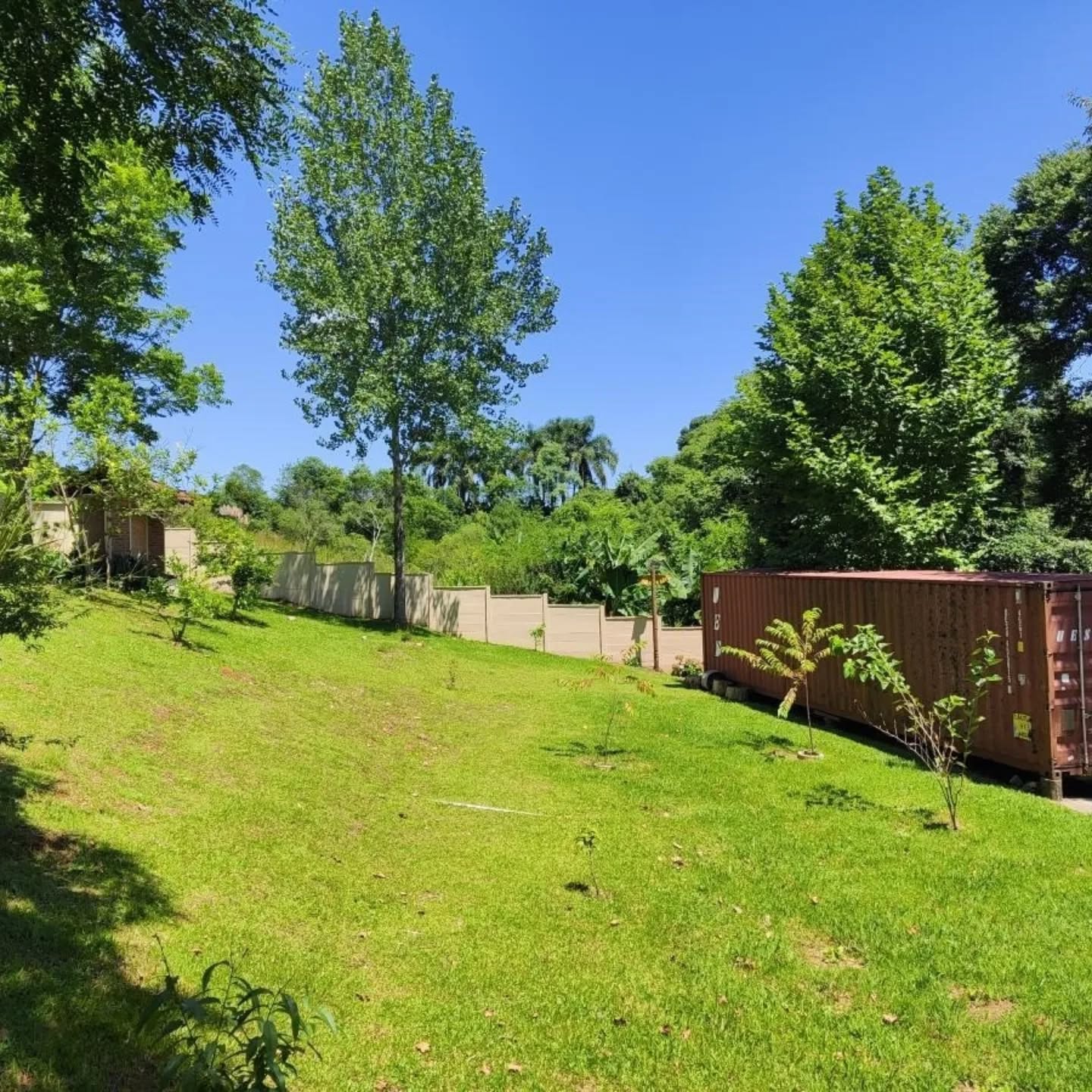 Foto do imóvel: Chácara à Venda, 10.000 m² em Colônia Mariana  - Campo Largo 