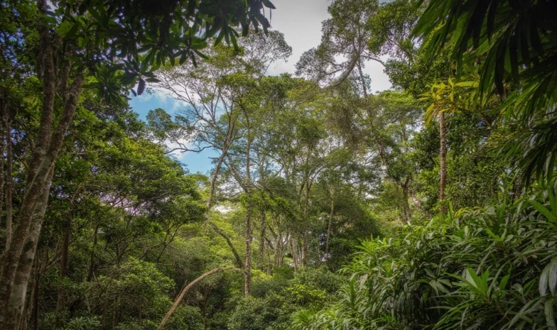 Imagem Terreno à Venda, 1500000 m² em Garuva - Garuva