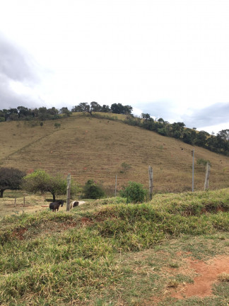 Imagem Fazenda à Venda, 149.000 m² em Zona Rural - Soledade de Minas