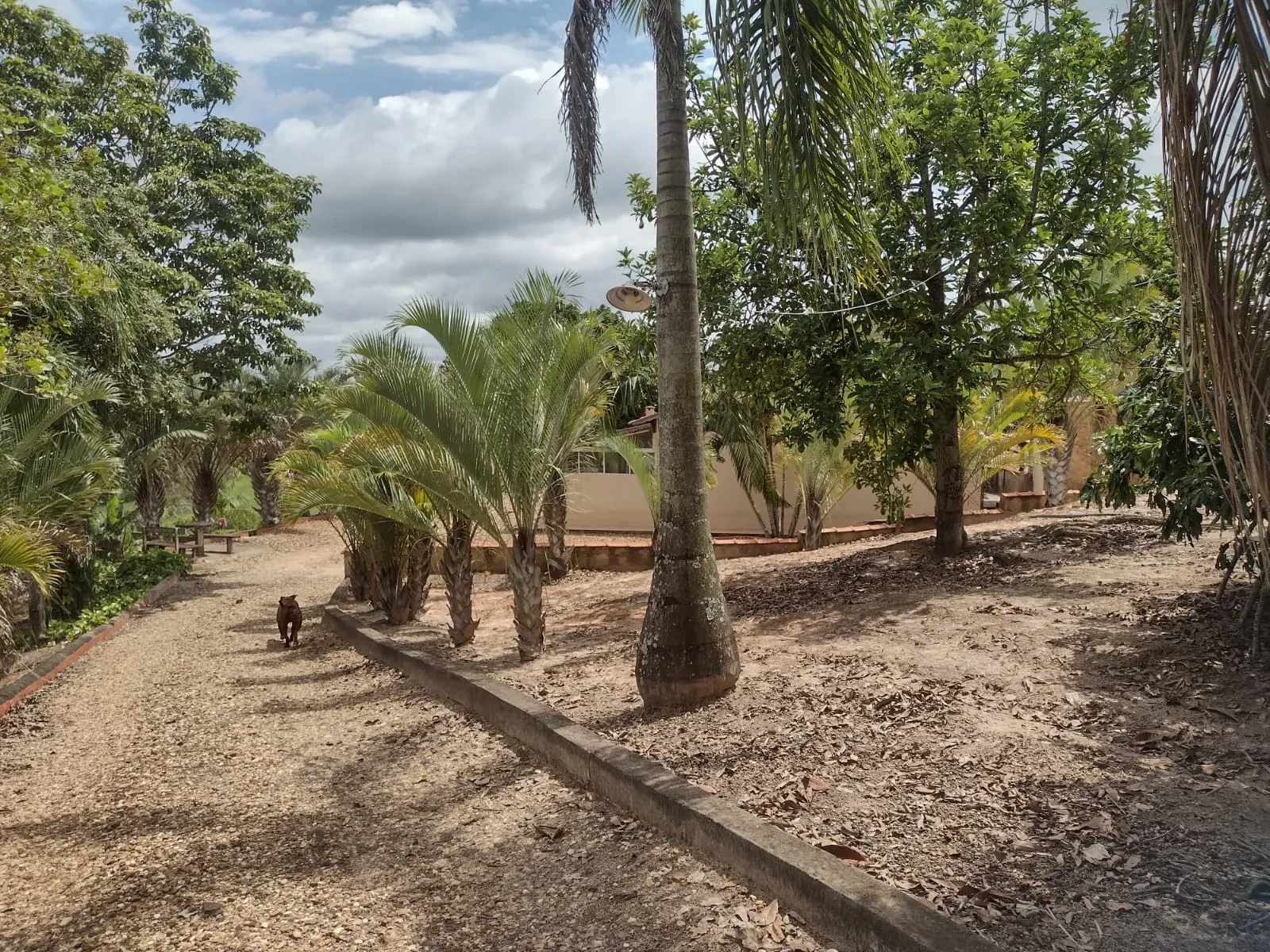 Imagem Chácara com 3 Quartos à Venda, 1200 m² em City Castello - Itu
