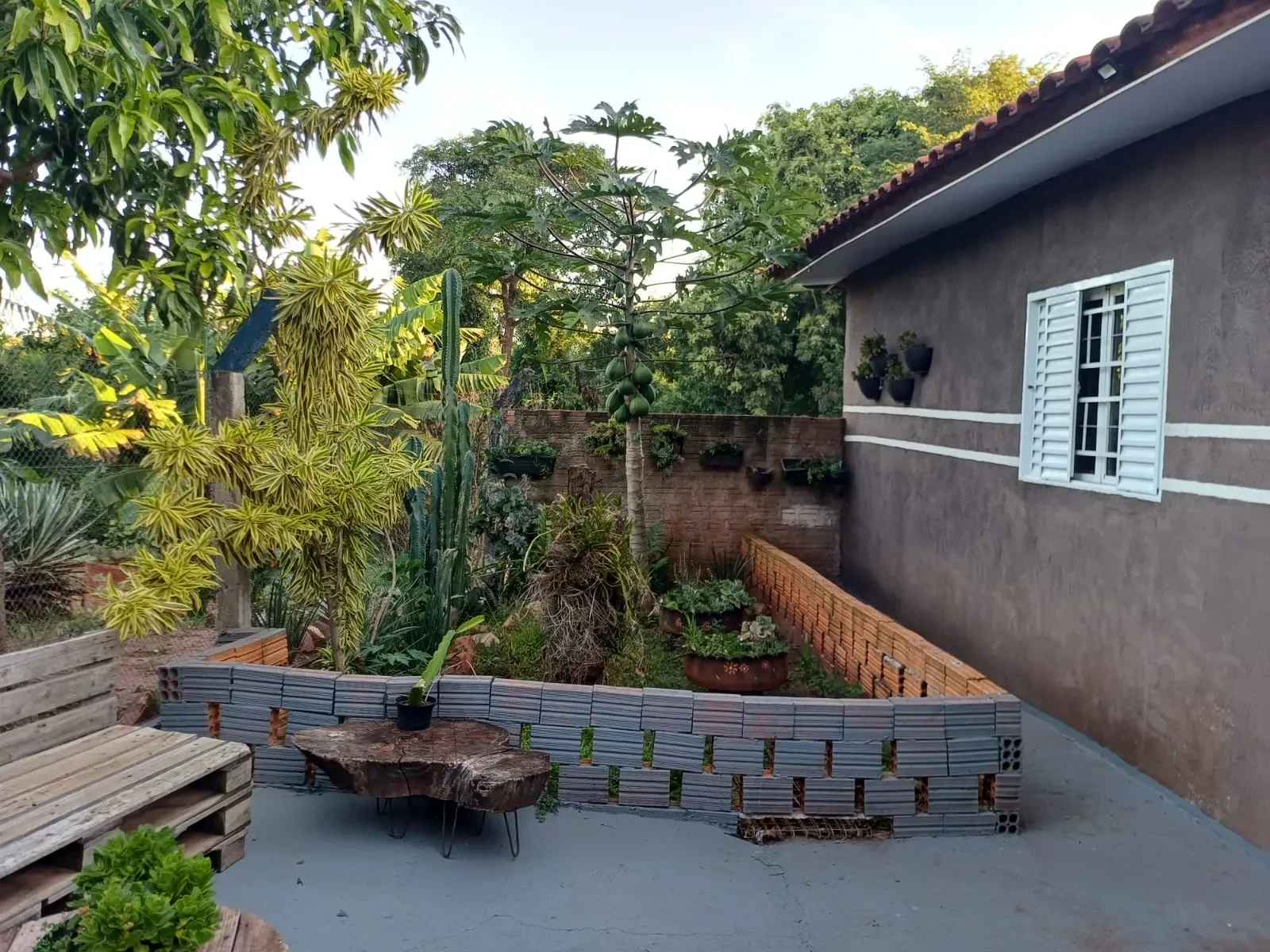 Imagem Chácara com 6 Quartos à Venda, 400 m² em Pitangueiras - Pitangueiras