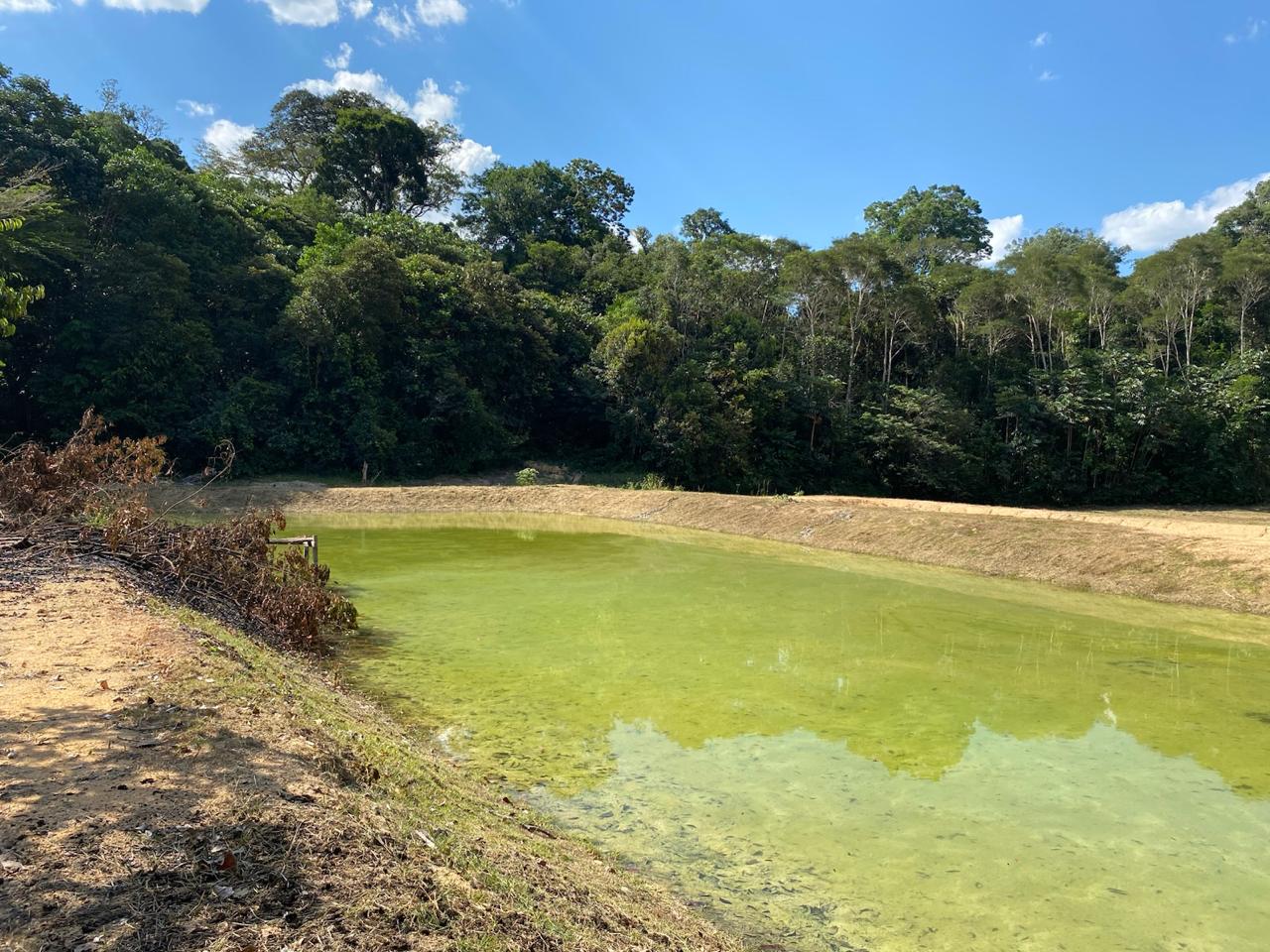 Foto do imóvel: Chácara com 3 Quartos à Venda, 25.000 m² em Presidente Figueiredo - Presidente Figueiredo