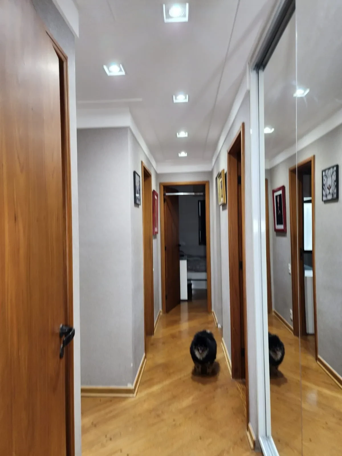 Imagem Cobertura com 4 Quartos à Venda, 216 m² em Cidade São Francisco - São Paulo